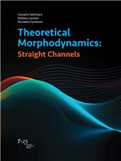 E-book, Theoretical morphodynamics : straight channels, Firenze University Press