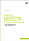 eBook, Navigating the twin transition : digital transformation and sustainability in low-tech industries : a small and medium-sized companies' perspective, TAB edizioni