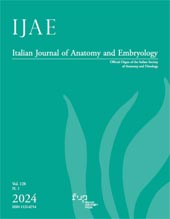 Fascículo, IJAE : Italian Journal of Anatomy and Embryology : 128, 1, 2024, Firenze University Press