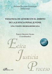E-book, Violencia de género en el ámbito de la justicia penal juvenil : una visión iberoamericana, Dykinson