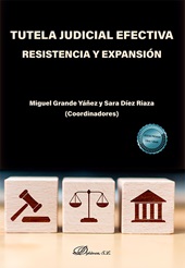 E-book, Tutela judicial efectiva : resistencia y expansión, Dykinson