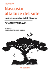 m, Nascosto alla luce del sole : la struttura sociale dell'irrilevanza, PM edizioni