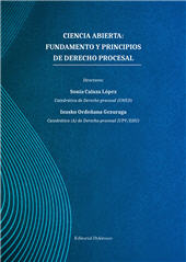 E-book, Ciencia abierta : fundamento y principios de derecho procesal, Dykinson