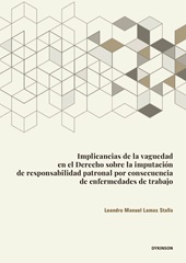 m, Implicancias de la vaguedad en el derecho sobre la imputación de responsabilidad patronal por consecuencia de enfermedades de trabajo, Dykinson