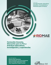 E-book, Formación docente, educación para la paz y prácticas educativas : investigación y experiencias, Dykinson