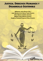 E-book, Justicia, derechos humanos y desarrollo sostenible, Dykinson