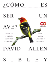 E-book, Cómo es ser un ave? De volar a anidar, de comer a cantar... Qué hacen las aves y por qué?, Anaya Multimedia