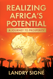 E-book, Realizing Africa's Potential : A Journey to Prosperity, Brookings Institution Press