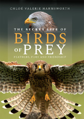 E-book, The Secret Life of Birds of Prey : Feathers, Fury and Friendship, Casemate Group