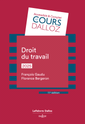 E-book, Droit du travail 2025, Éditions Dalloz