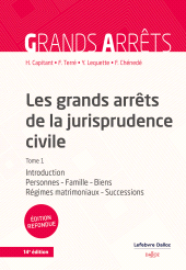 E-book, Les grands arrêts de la jurisprudence civile : Introduction, personnes, famille, Éditions Dalloz