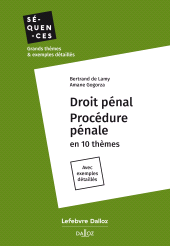 E-book, Droit pénal Procédure pénale - En 10 thèmes, Éditions Dalloz