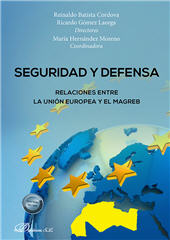 E-book, Seguridad y defensa : relaciones entre la Unión Europea y El Magreb, Dykinson