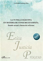 E-book, La tutela colectiva en materia de consumo en España : estado actual y líneas de reforma, Dykinson