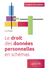 E-book, Le droit des données personnelles en schémas : A jour au 30 septembre 2023, Édition Marketing Ellipses