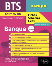 E-book, BTS Banque, Édition Marketing Ellipses