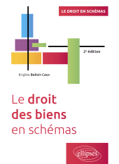 E-book, Le droit des biens en schémas : A jour au 15 avril 2024, Édition Marketing Ellipses