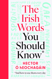 E-book, The Irish Words You Should Know : and how to use them every day, Gill Books