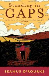 E-book, Standing in Gaps, Gill Books