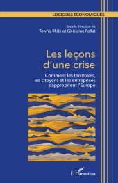 E-book, Les leçons d'une crise : Comment les territoires, les citoyens et les entreprises s'approprient l'Europe, L'Harmattan