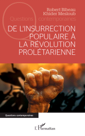 E-book, De l'insurrection populaire à la révolution prolétarienne, L'Harmattan