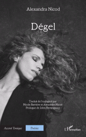 E-book, Dégel, L'Harmattan
