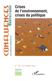 E-book, Crises de l'environnement, crises du politique, L'Harmattan