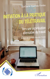 E-book, Initiation à la pratique du télétravail : Vers une organisation alternative du travail, L'Harmattan