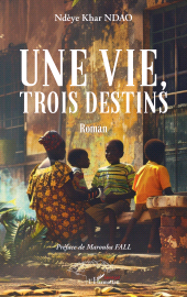 E-book, Une vie, trois destins, L'Harmattan