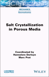 E-book, Salt Crystallization in Porous Media, ISTE