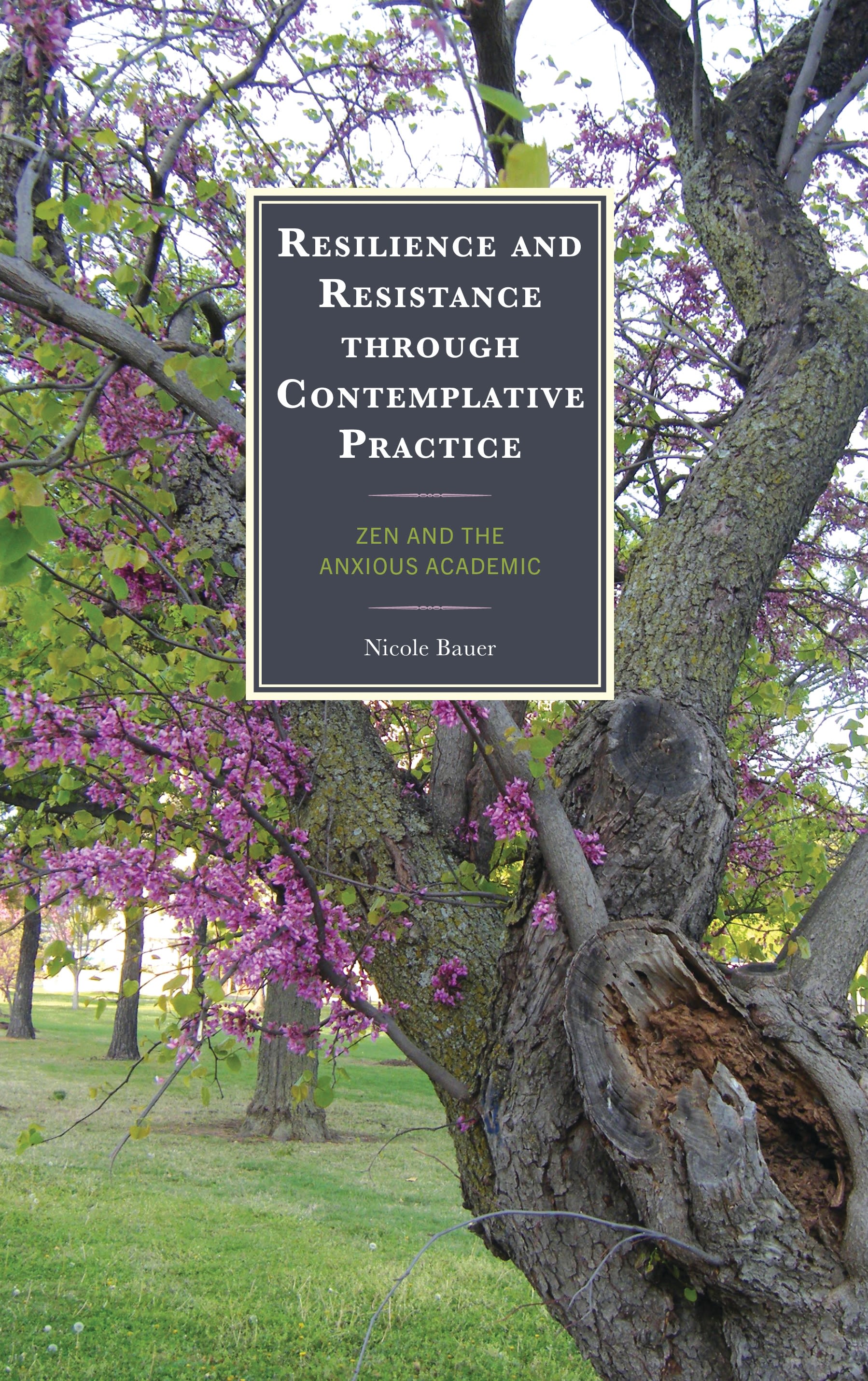 E-book, Resilience and Resistance through Contemplative Practice : Zen and the Anxious Academic, Lexington Books