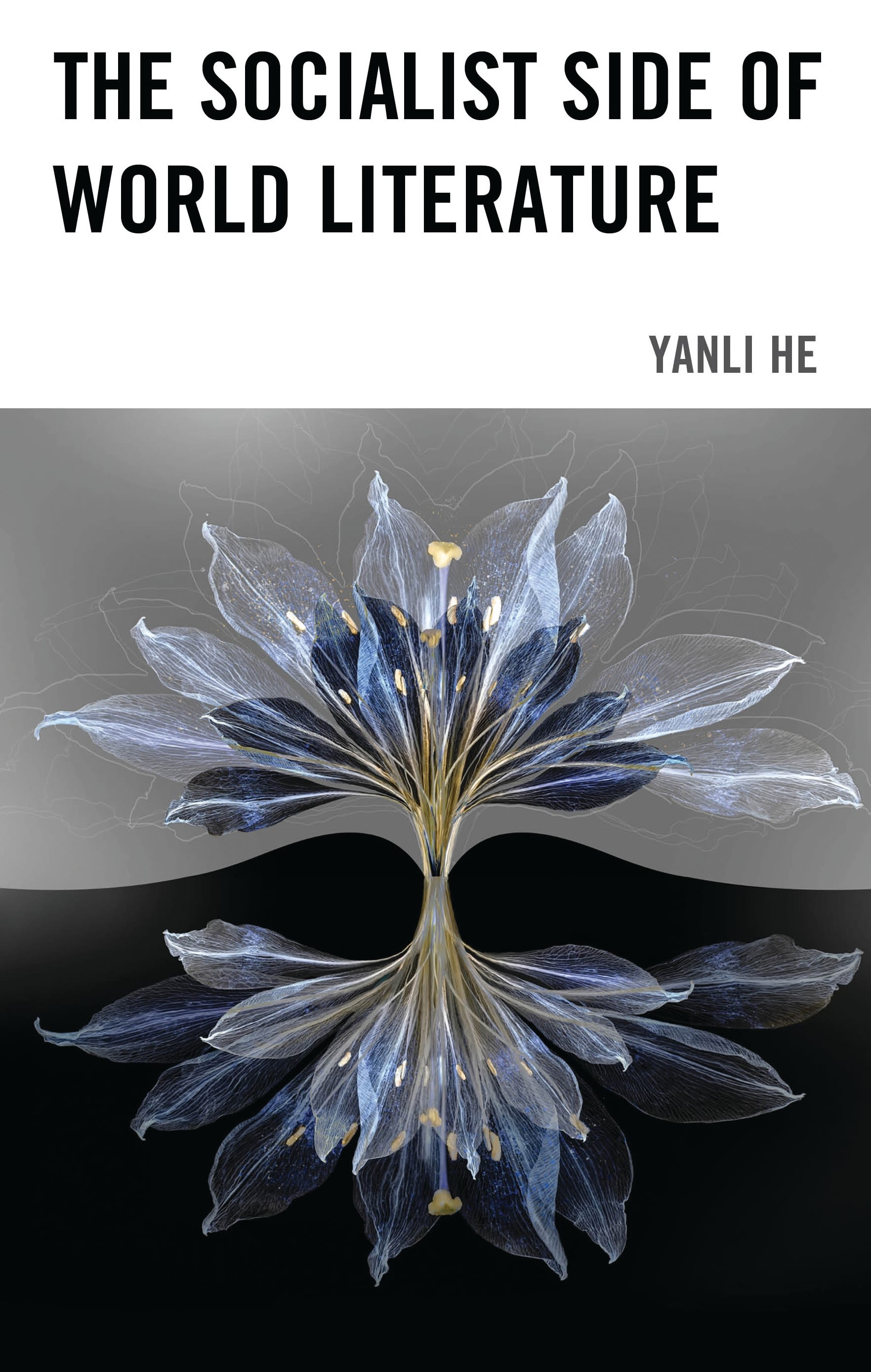 eBook, The Socialist Side of World Literature, Lexington Books