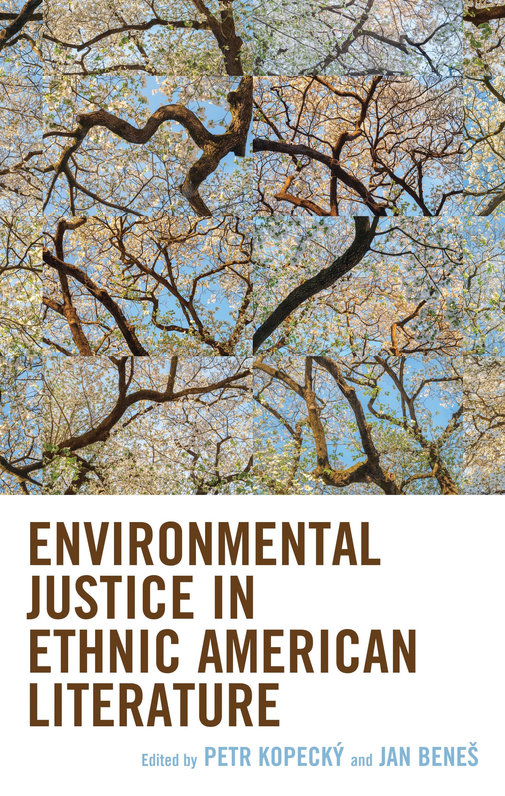 eBook, Environmental Justice in Ethnic American Literature, Lexington Books