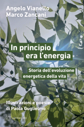E-book, In principio era l'energia : storia dell'evoluzione energetica della vita, Meltemi
