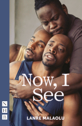 E-book, Now, I See, Nick Hern Books