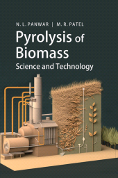 E-book, Pyrolysis of Biomass: Science and Technology, New India Publishing Agency