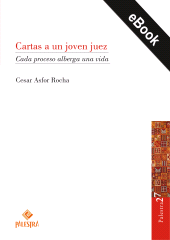 eBook, Cartas a un joven juez : Cada proceso alberga una vida, Palestra Editores