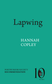 E-book, Lapwing, Pavilion Poetry