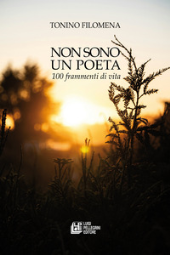 E-book, Non sono un poeta : 100 frammenti di vita, Pellegrini