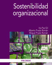 E-book, Sostenibilidad organizacional, Ediciones Pirámide