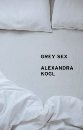 E-book, Grey Sex : Heterosexuality and Everyday Domination, Polity Press