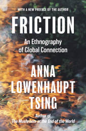 E-book, Friction : An Ethnography of Global Connection, Princeton University Press