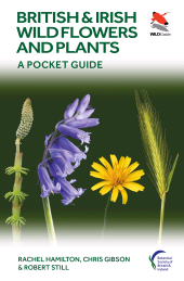 E-book, British and Irish Wild Flowers and Plants : A Pocket Guide, Princeton University Press