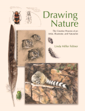 E-book, Drawing Nature : The Creative Process of an Artist, Illustrator, and Naturalist, Princeton University Press