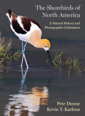 E-book, The Shorebirds of North America : A Natural History and Photographic Celebration, Princeton University Press