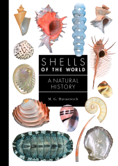E-book, Shells of the World : A Natural History, Princeton University Press