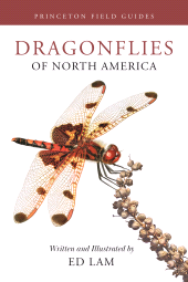E-book, Dragonflies of North America, Princeton University Press
