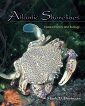 E-book, Atlantic Shorelines : Natural History and Ecology, Princeton University Press