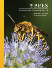 E-book, The Lives of Bees : A Natural History of Our Planet's Bee Life, Princeton University Press
