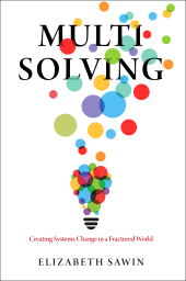 E-book, Multisolving : Creating Systems Change in a Fractured World, Princeton University Press